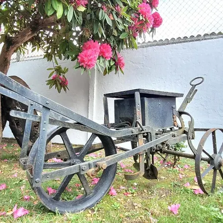 Besbello - Estudio *