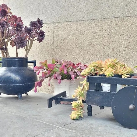 公寓 Besbello - Estudio