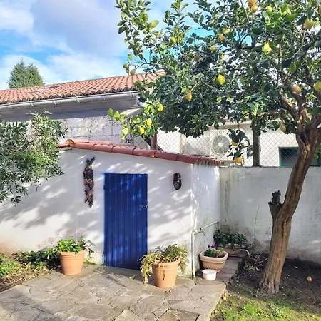 Besbello - Estudio *