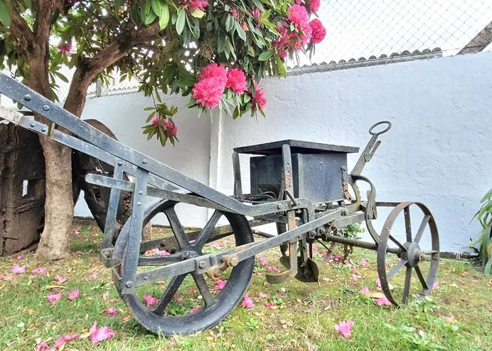 Besbello - Estudio *