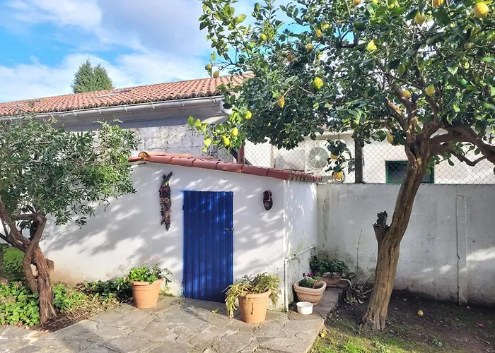 Besbello - Estudio *